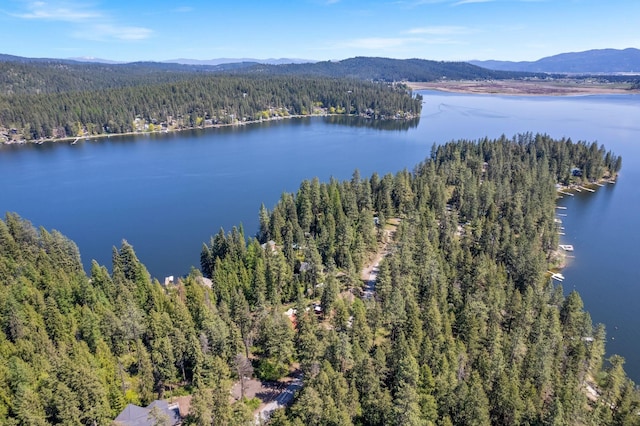drone / aerial view with a water and mountain view and a wooded view
