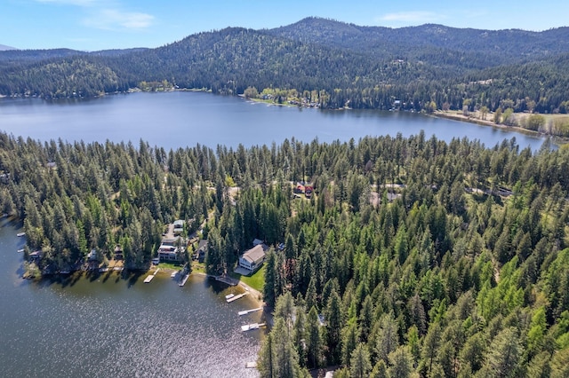 drone / aerial view with a wooded view and a water and mountain view