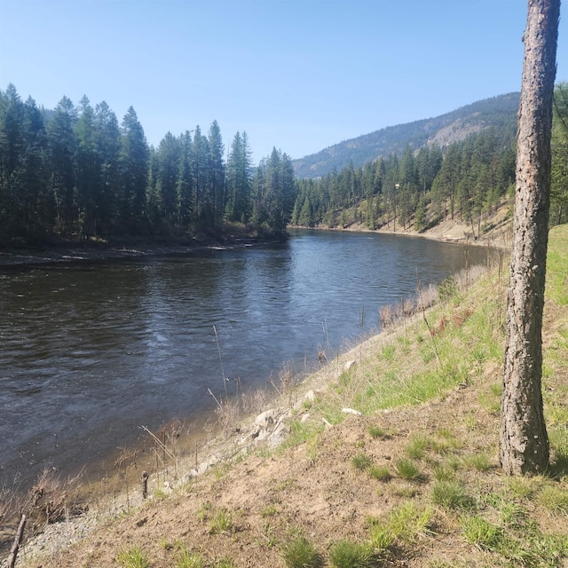 water view with a forest view