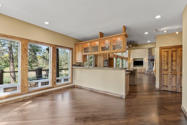 8605 E S Riverway Ave, Spokane, WA 99212 - kitchen featuring glass insert cabinets, dark wood-style floors, a wealth of natural light, and oven