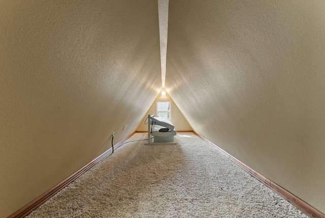 8605 E S Riverway Ave, Spokane, WA 99212 - additional living space featuring carpet floors, baseboards, a textured ceiling, and lofted ceiling