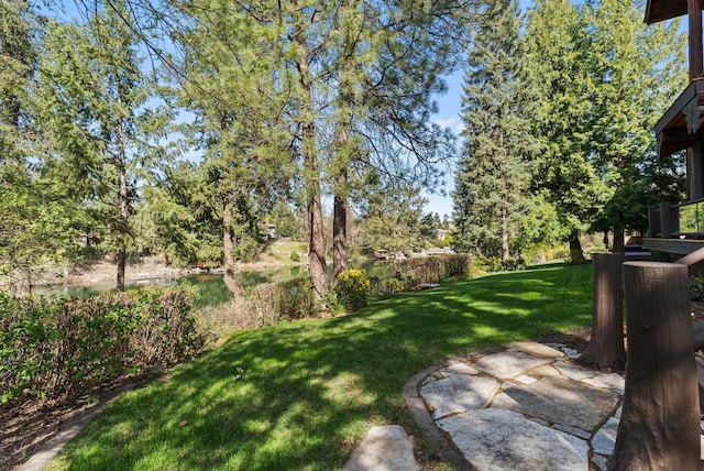 8605 E S Riverway Ave, Spokane, WA 99212 - view of yard