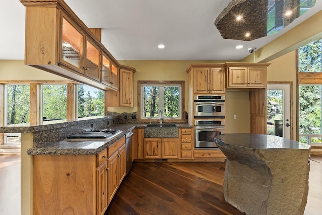 8605 E S Riverway Ave, Spokane, WA 99212 - kitchen with appliances with stainless steel finishes, a sink, recessed lighting, dark wood-type flooring, and glass insert cabinets