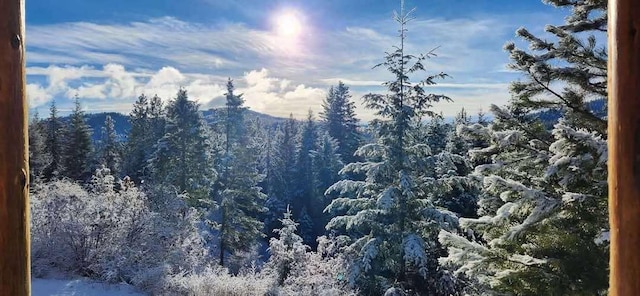 view of mountain feature featuring a view of trees