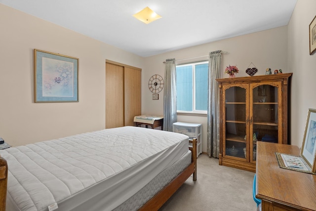 19322 E Indiana Ave, Greenacres, WA 99016 - bedroom featuring light colored carpet and a closet