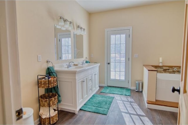 bathroom featuring vanity, plenty of natural light, and wood finished floors