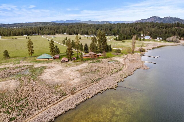 3247 Jumpoff Way, Valley, WA 99181 - birds eye view of property with a view of trees and a water and mountain view