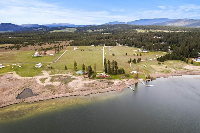 3247 Jumpoff Way, Valley, WA 99181 - aerial view with a water and mountain view and a wooded view