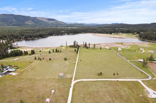3247 Jumpoff Way, Valley, WA 99181 - bird's eye view with a water and mountain view and a forest view
