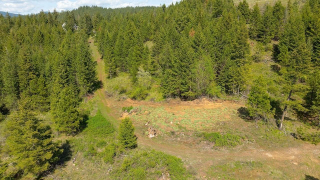 NKA Julia Drive, Hauser, ID 83835