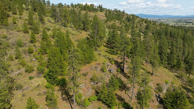 NKA Julia Drive, Hauser, ID 83835