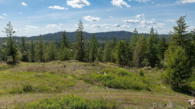 NKA Julia Drive, Hauser, ID 83835