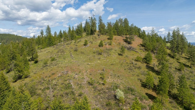 NKA Julia Drive, Hauser, ID 83835