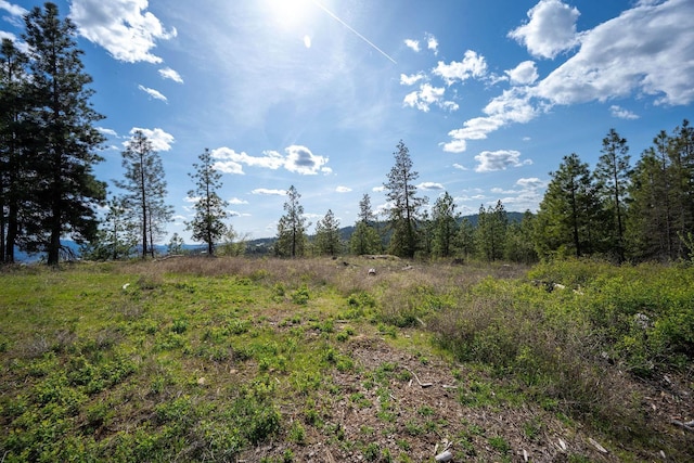 NKA Julia Drive, Hauser, ID 83835