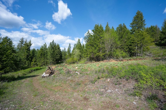 NKA Julia Drive, Hauser, ID 83835