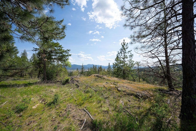 NKA Julia Drive, Hauser, ID 83835