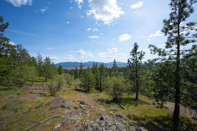 NKA Julia Drive, Hauser, ID 83835