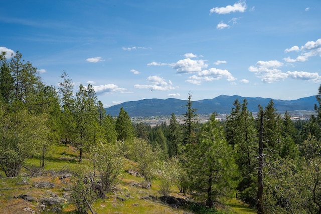 NKA Julia Drive, Hauser, ID 83835