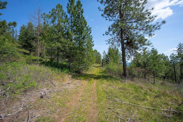 NKA Julia Drive, Hauser, ID 83835