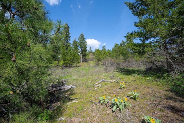 NKA Julia Drive, Hauser, ID 83835