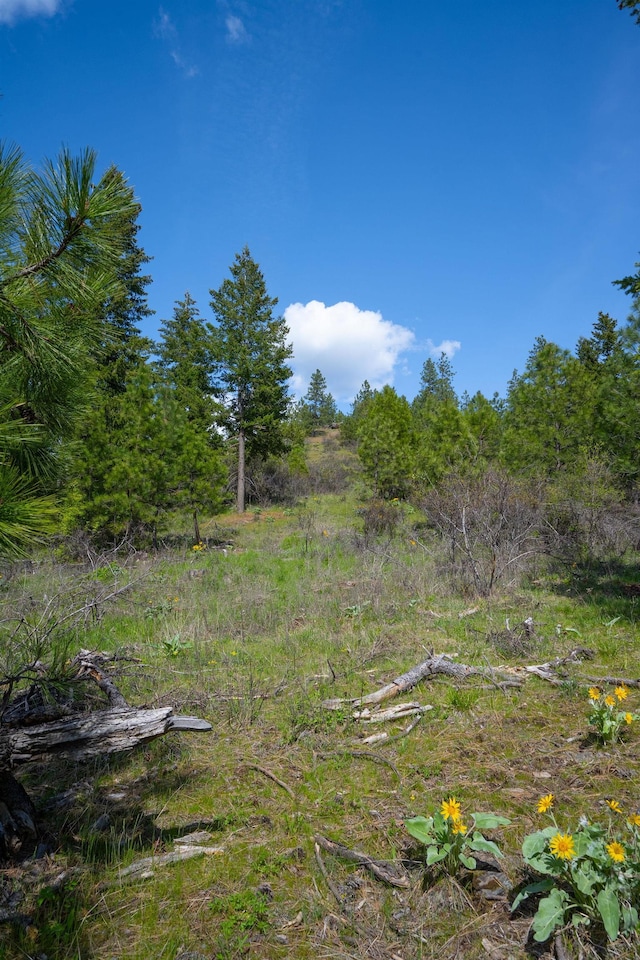 NKA Julia Drive, Hauser, ID 83835