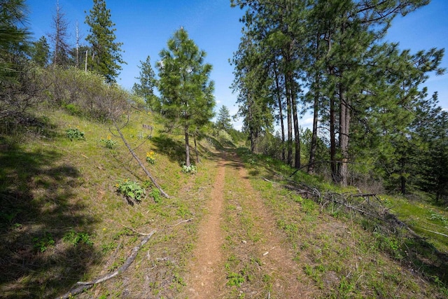 NKA Julia Drive, Hauser, ID 83835
