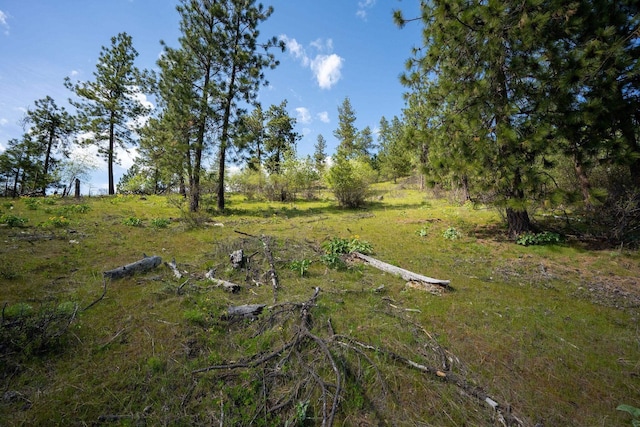 NKA Julia Drive, Hauser, ID 83835
