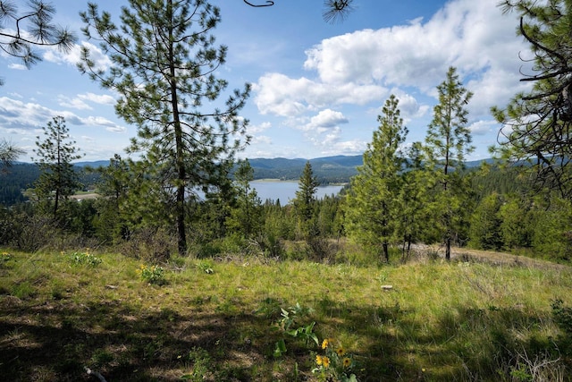 NKA Julia Drive, Hauser, ID 83835