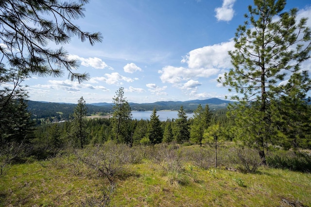 NKA Julia Drive, Hauser, ID 83835