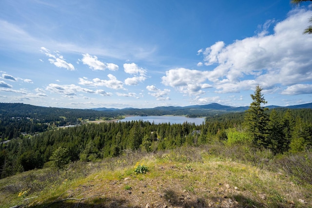 NKA Julia Drive, Hauser, ID 83835