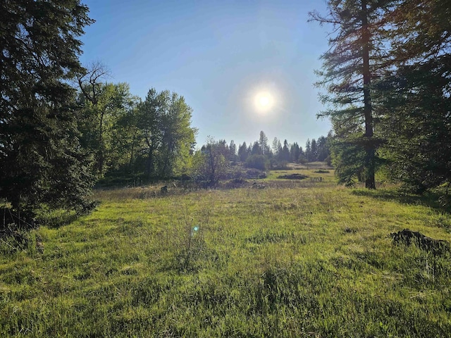 2100BLK E Eloika Rd, Deer Park, WA 99006 - photo 17