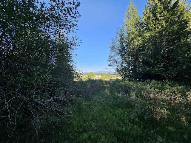 2100BLK E Eloika Rd, Deer Park, WA 99006 - photo 18