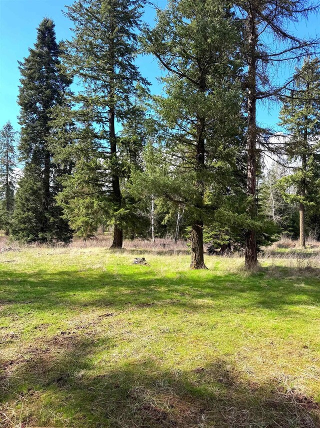 2100BLK E Eloika Rd, Deer Park, WA 99006 - photo 20