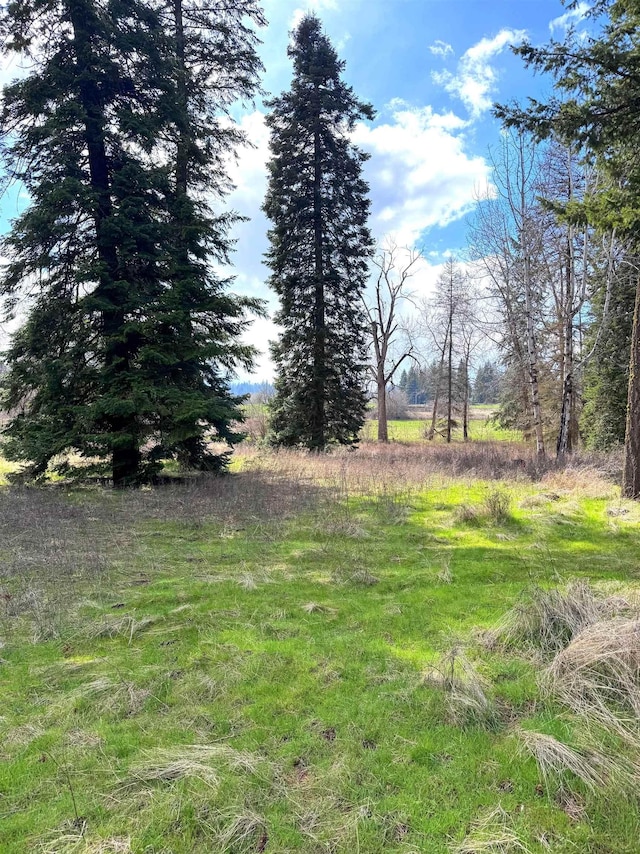 2100BLK E Eloika Rd, Deer Park, WA 99006 - photo 21
