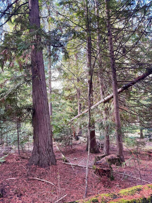 2100BLK E Eloika Rd, Deer Park, WA 99006 - photo 23