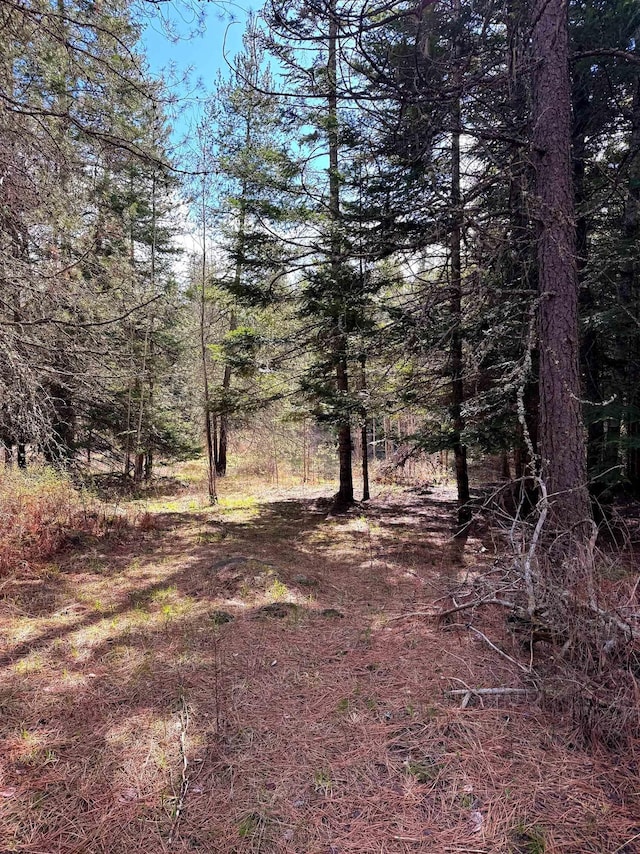 2100BLK E Eloika Rd, Deer Park, WA 99006 - photo 24
