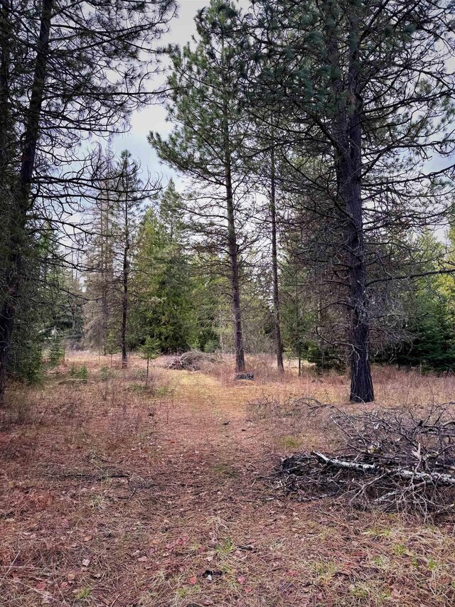 2100BLK E Eloika Rd, Deer Park, WA 99006 - photo 25