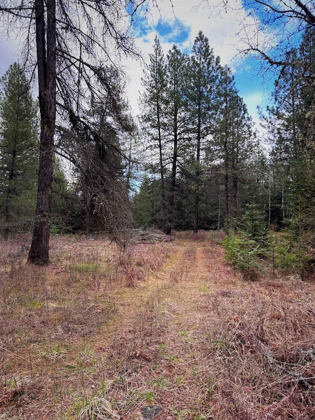 2100BLK E Eloika Rd, Deer Park, WA 99006 - photo 27