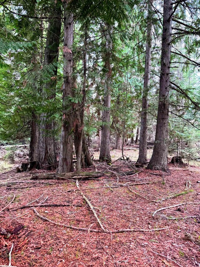 2100BLK E Eloika Rd, Deer Park, WA 99006 - photo 29