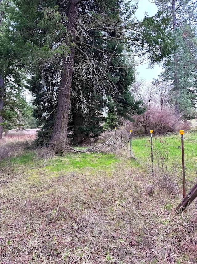 2100BLK E Eloika Rd, Deer Park, WA 99006 - photo 30
