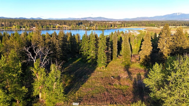 2100BLK E Eloika Rd, Deer Park, WA 99006 - photo 4