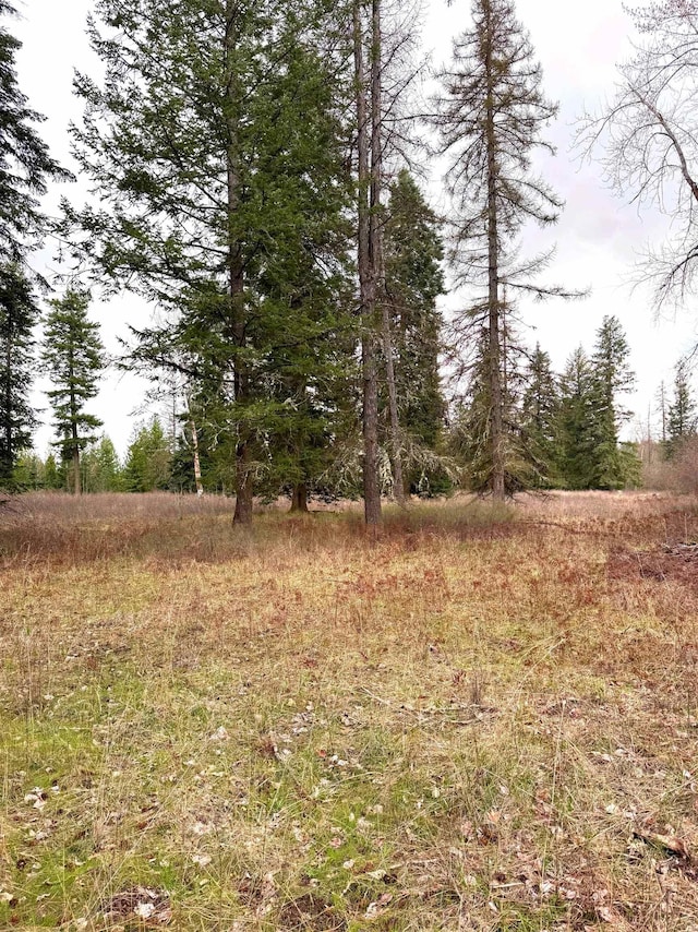 2100BLK E Eloika Rd, Deer Park, WA 99006 - photo 31