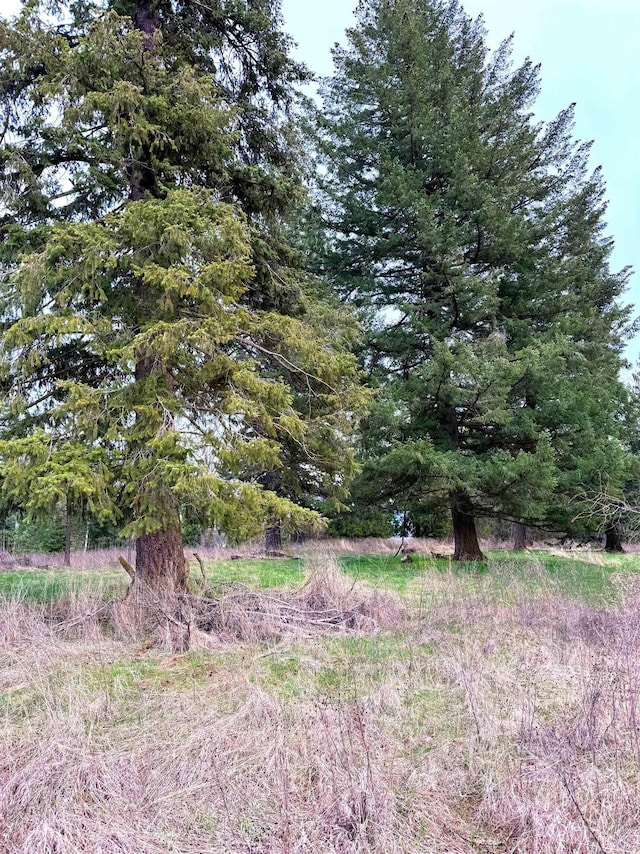 2100BLK E Eloika Rd, Deer Park, WA 99006 - photo 32