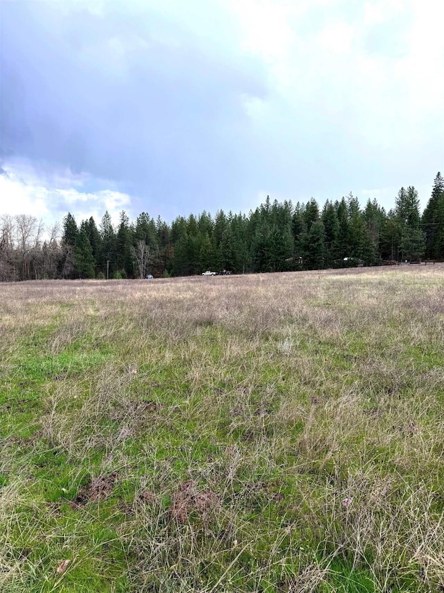 2100BLK E Eloika Rd, Deer Park, WA 99006 - photo 33