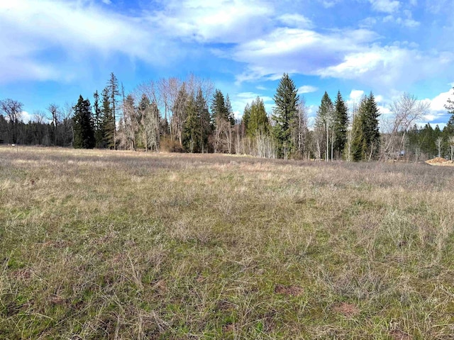 2100BLK E Eloika Rd, Deer Park, WA 99006 - photo 36