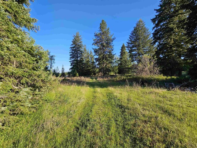 2100BLK E Eloika Rd, Deer Park, WA 99006 - photo 5