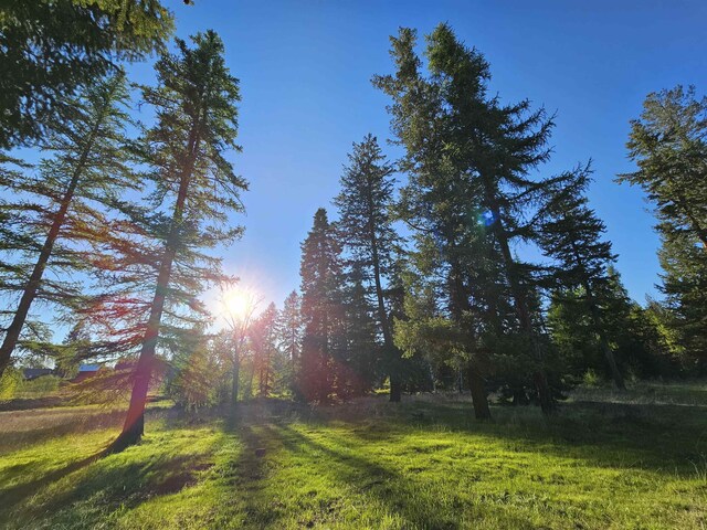 2100BLK E Eloika Rd, Deer Park, WA 99006 - photo 6