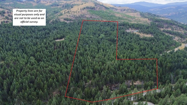 21 Harms Way, Republic, WA 99166 - photo 35