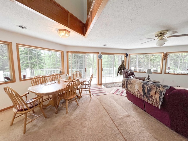21 Harms Way, Republic, WA 99166 - photo 6