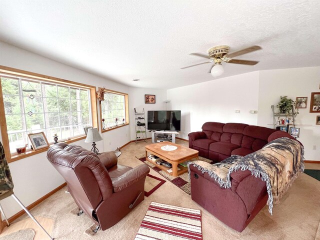 21 Harms Way, Republic, WA 99166 - photo 9
